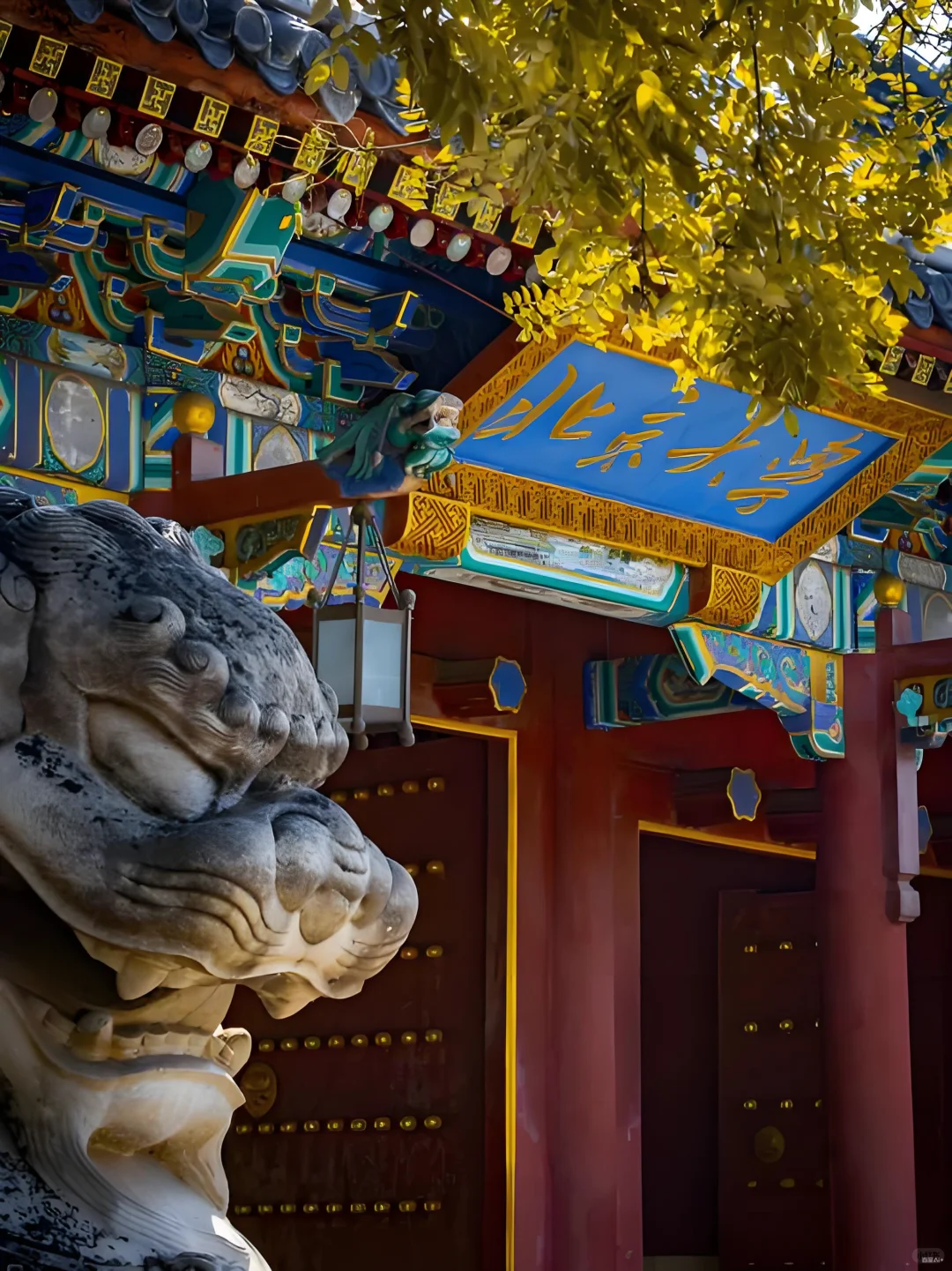 北京大学国家资源经济研究中心科研助理实习