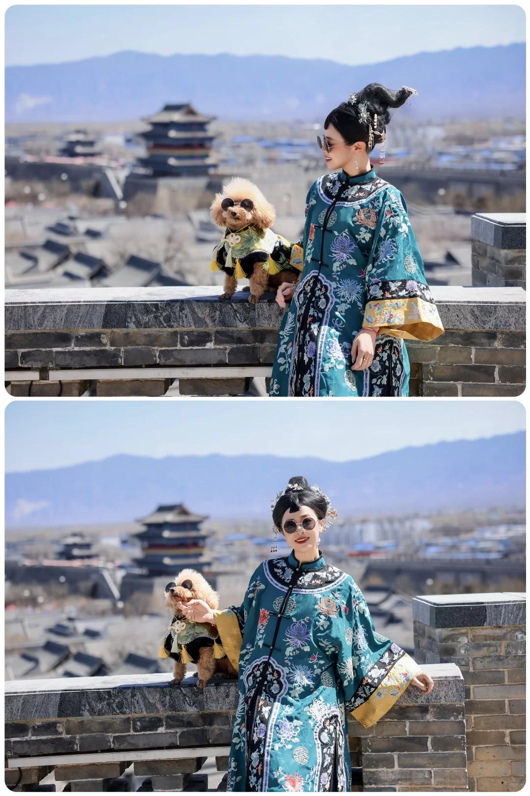 山楂2025出行报告，小狗狗的年终总结！