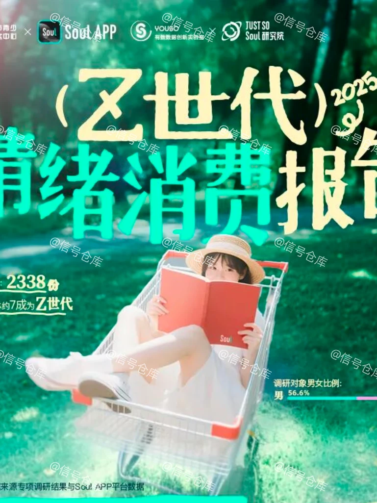 〔005〕2025 Z世代情绪消费报告