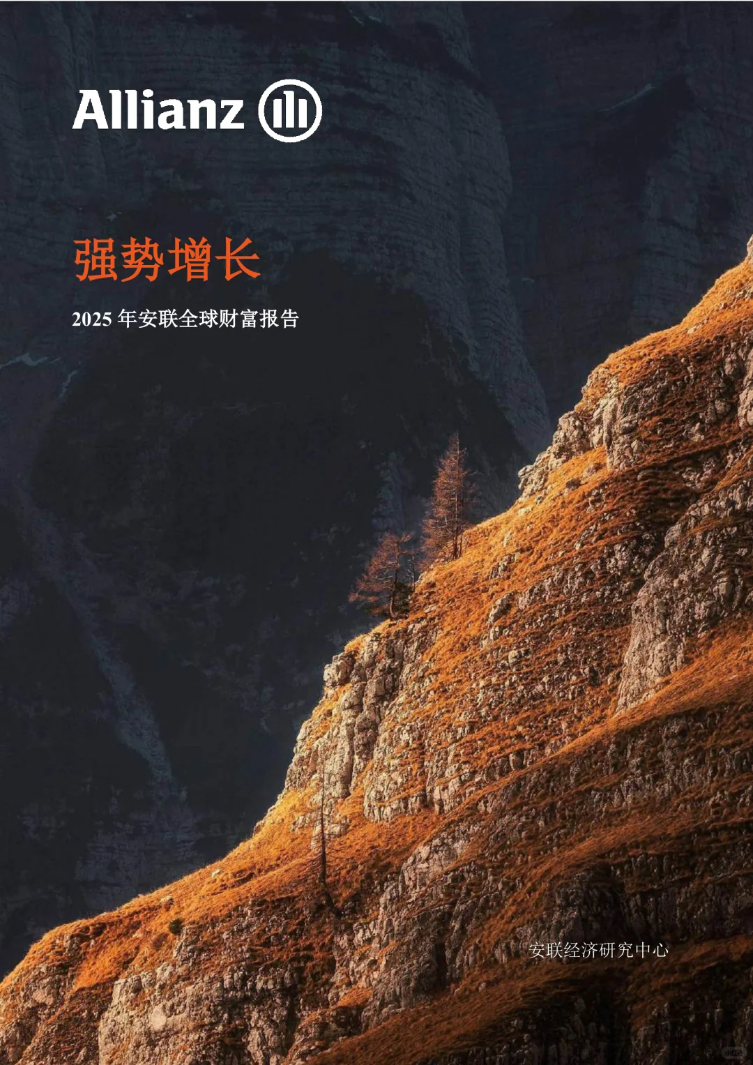 安联经济研究中心-2025年安联全球财富报告