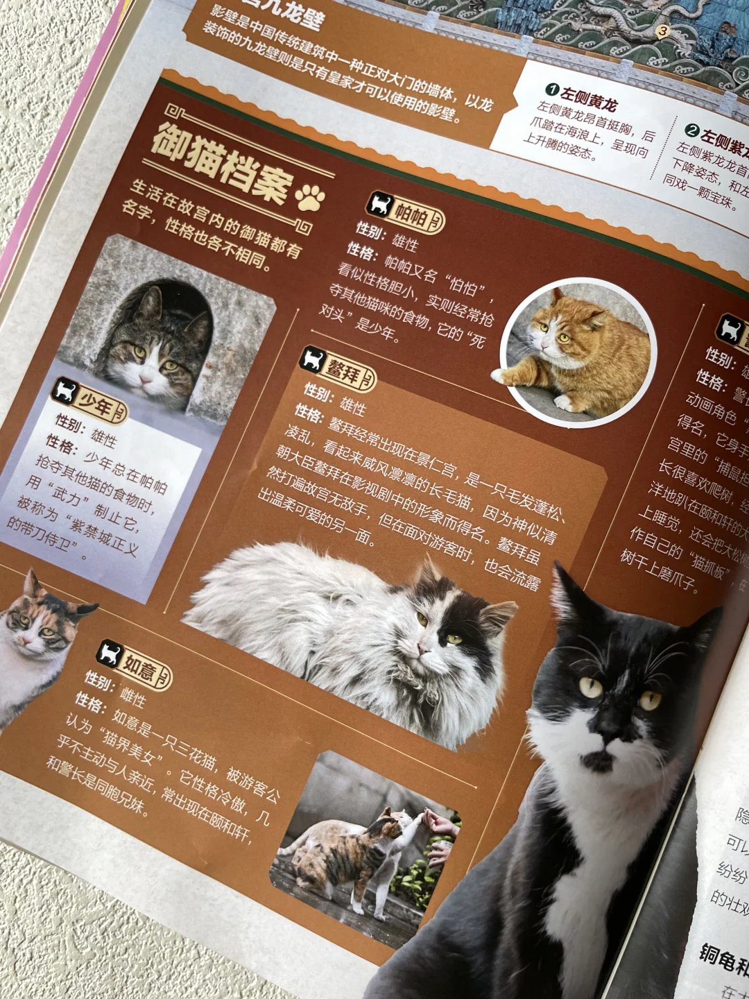 《好奇号》故宫刊！逛展秒变懂王?