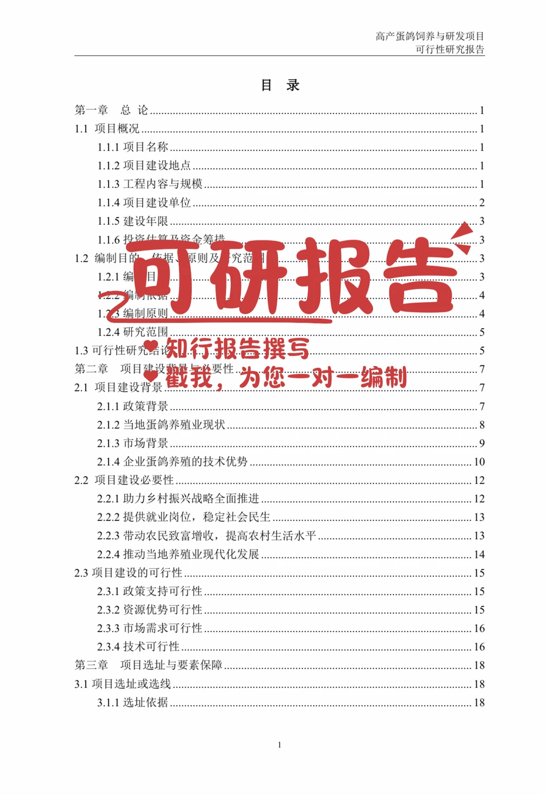 可行性研究报告编制案例｜乡村振兴项目