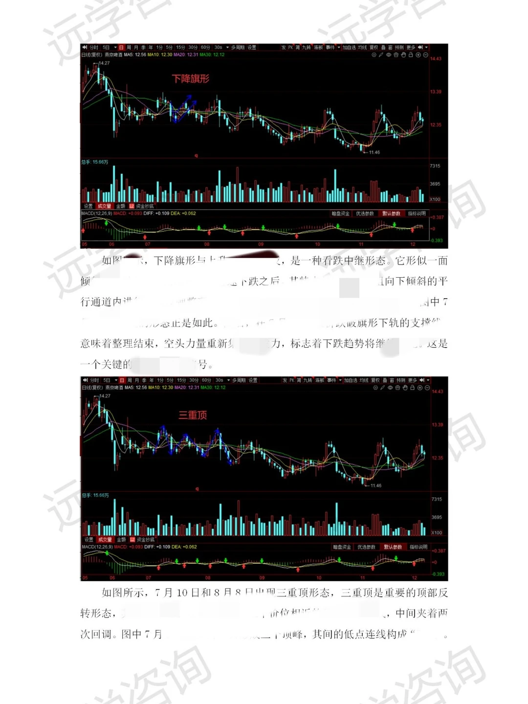大学生看过来！证券投资分析报告