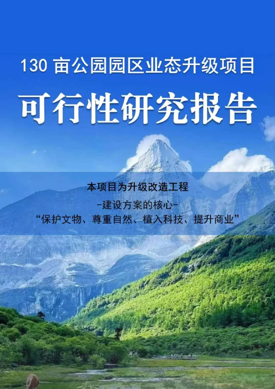 项目立项一次过||可行性研究报告成功案例