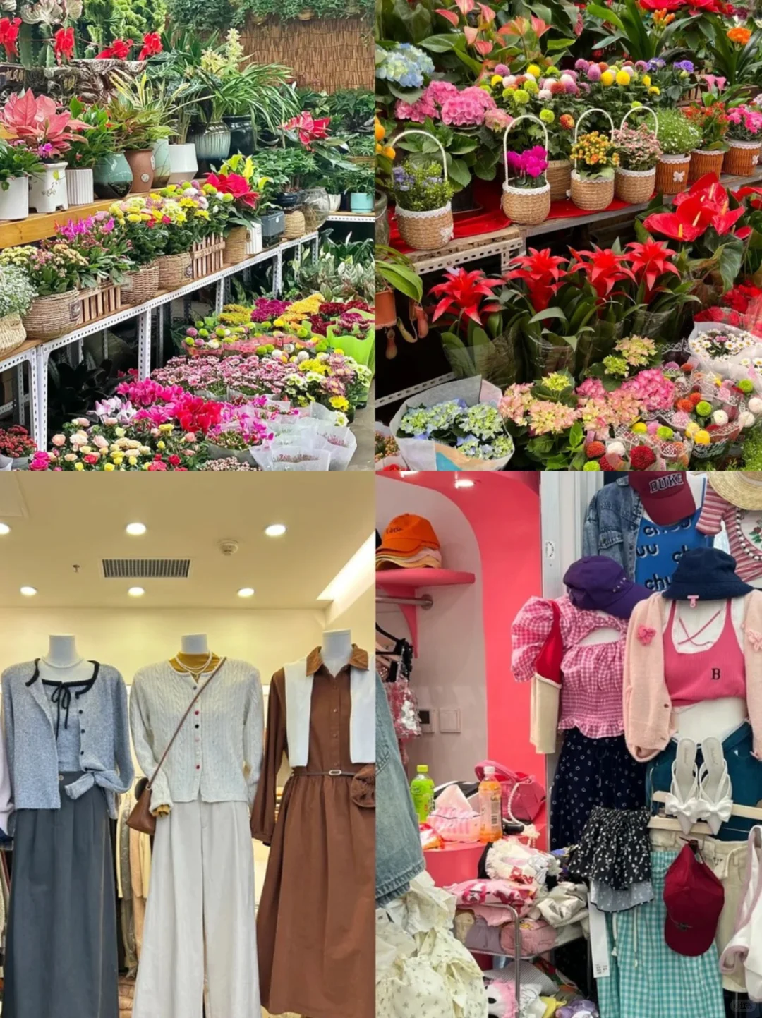 西安批发市场闲逛指南·西北篇-薅羊毛啦