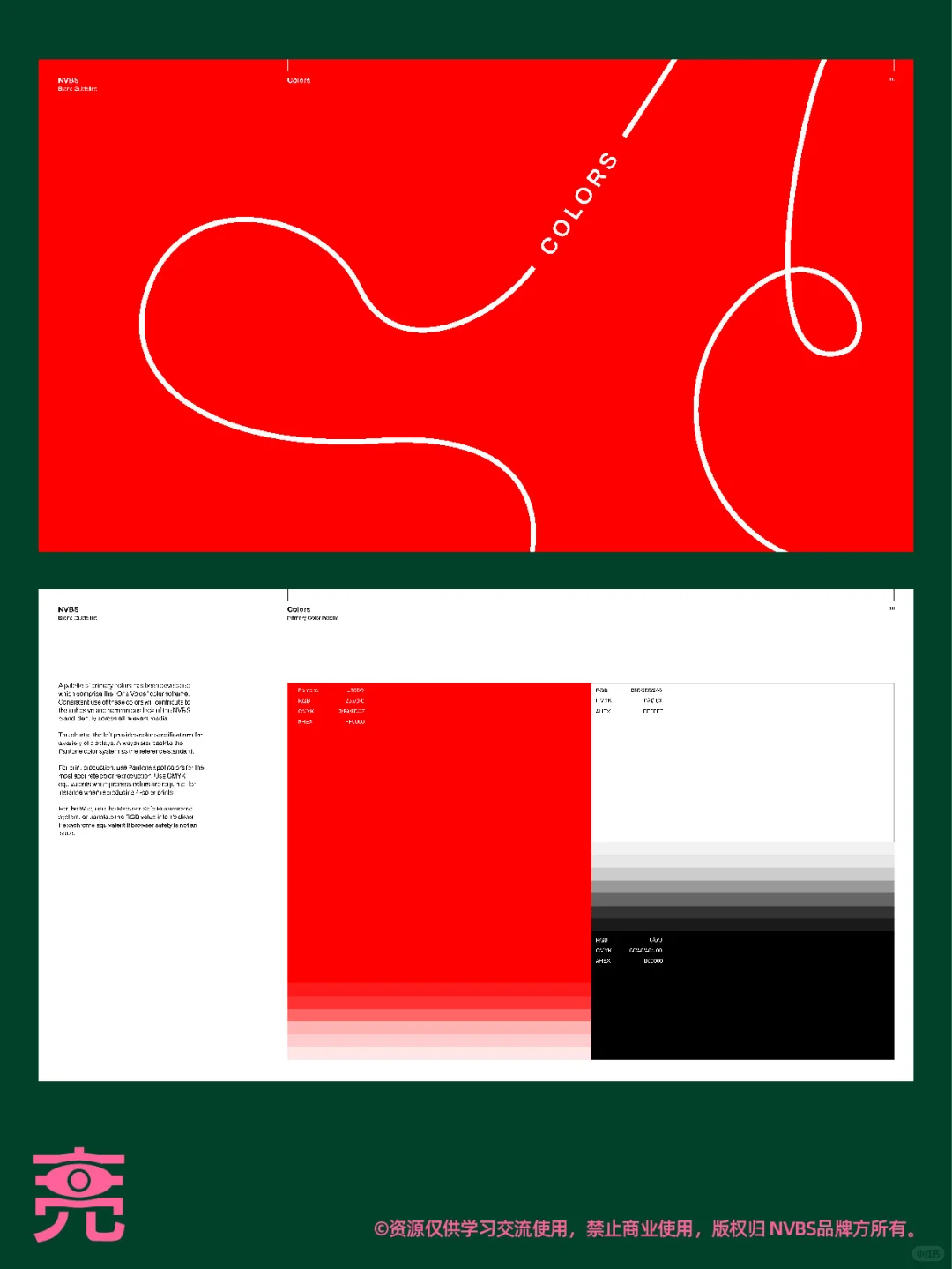 案例分享丨NVBS品牌VI手册【附PDF】