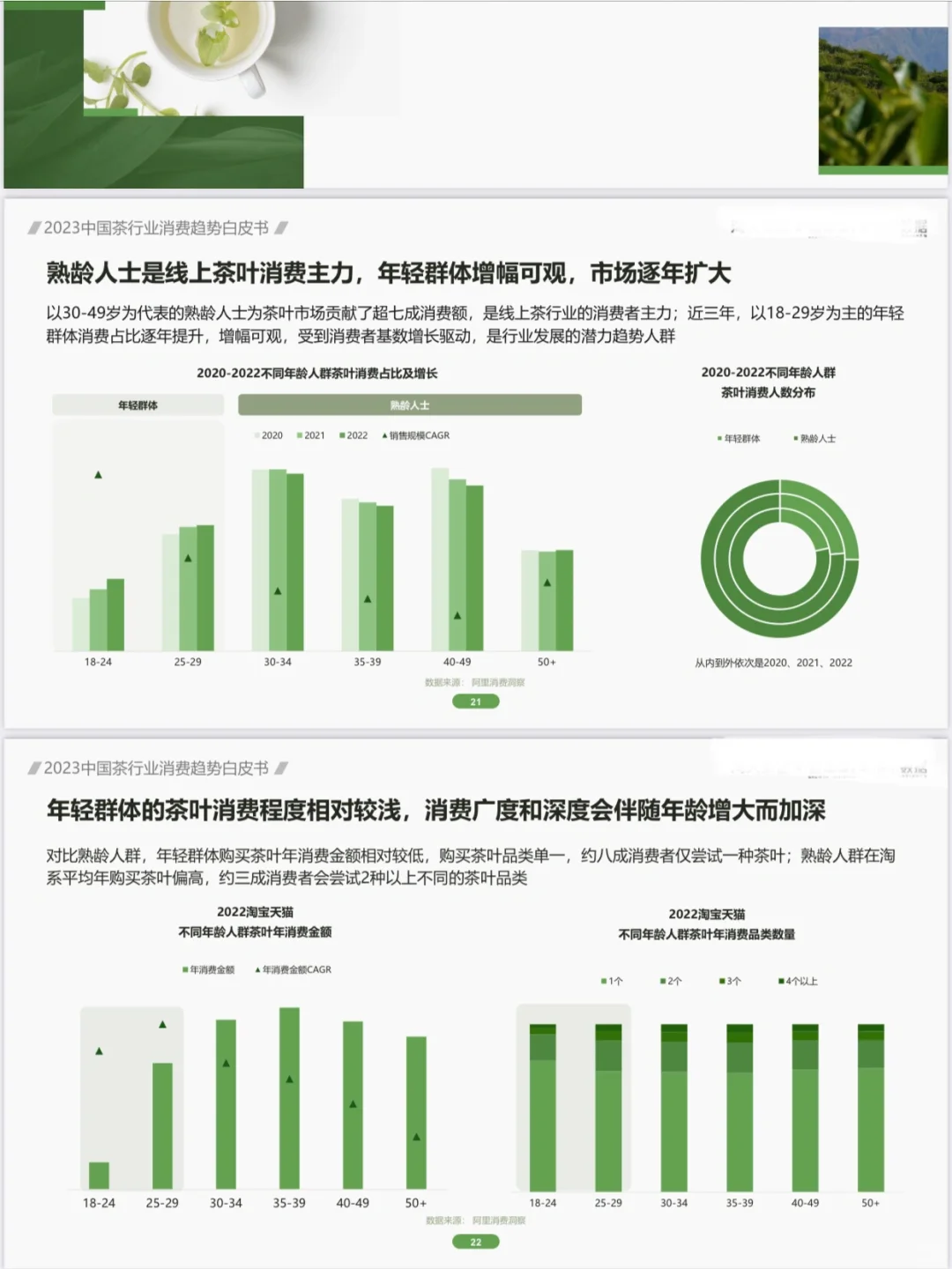 51 页| 2023茶行业消费趋势白皮书