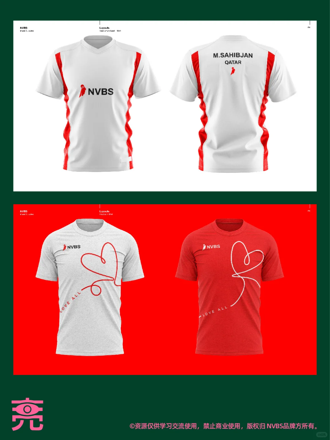 案例分享丨NVBS品牌VI手册【附PDF】