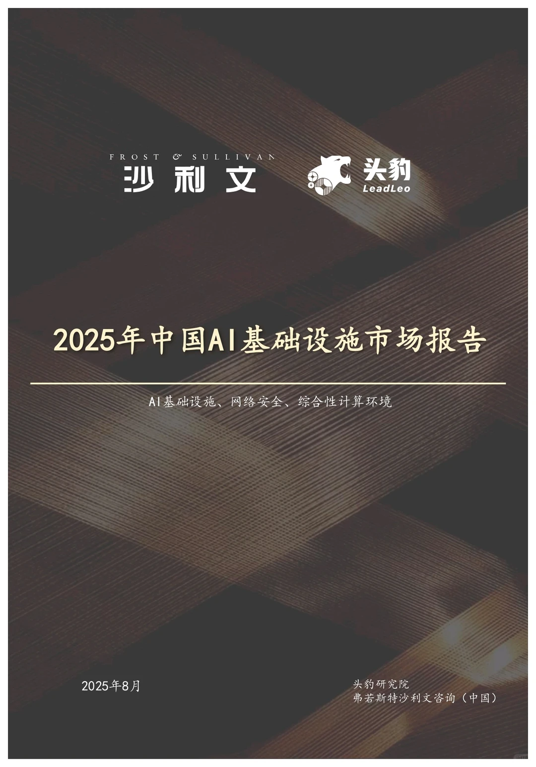 2025年中国AI基础设施市场报告
