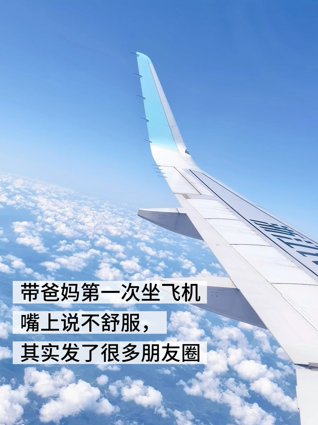 2025年终总结|轻舟已过万重山