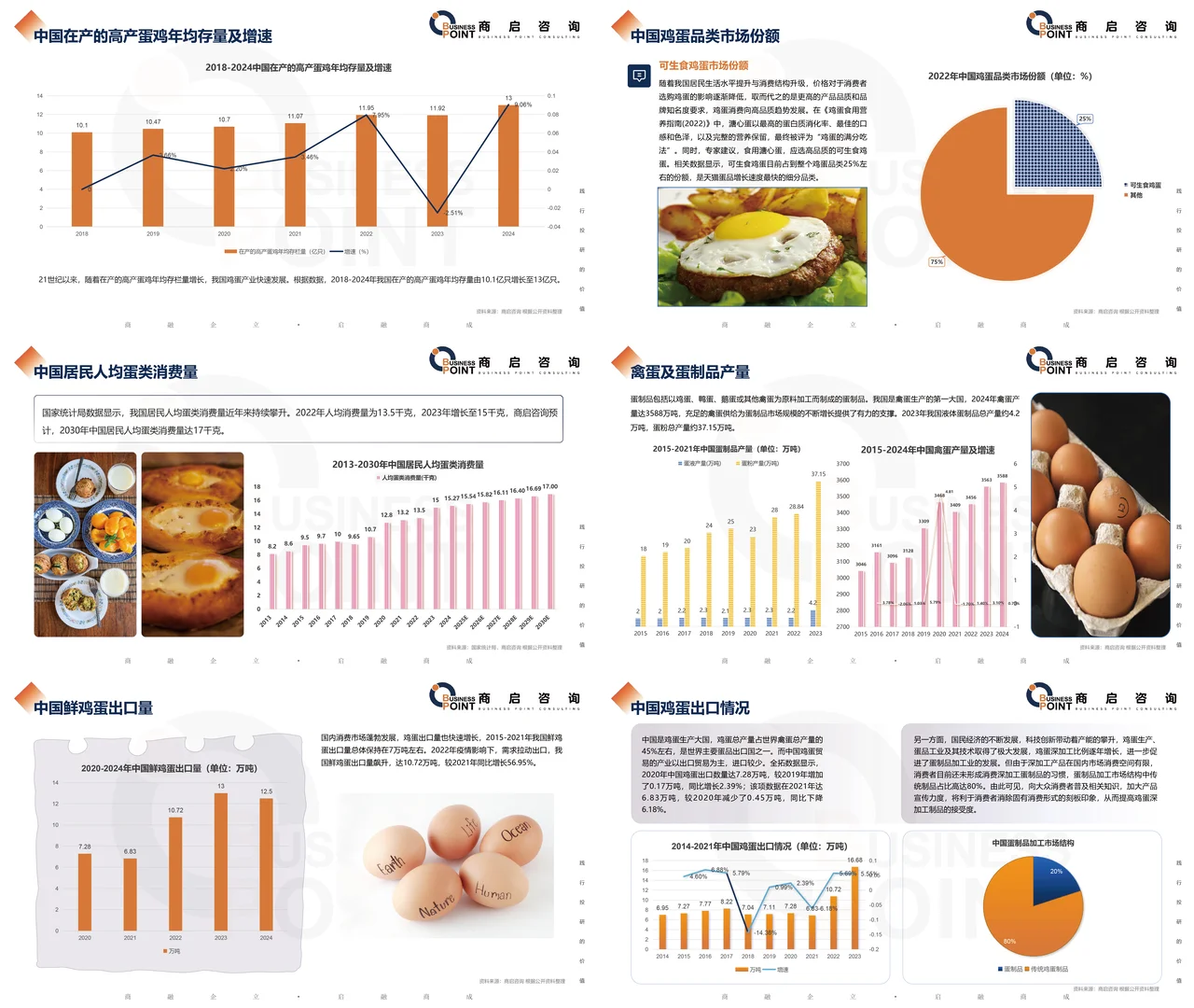 ? 商启咨询 鸡蛋行业研究报告