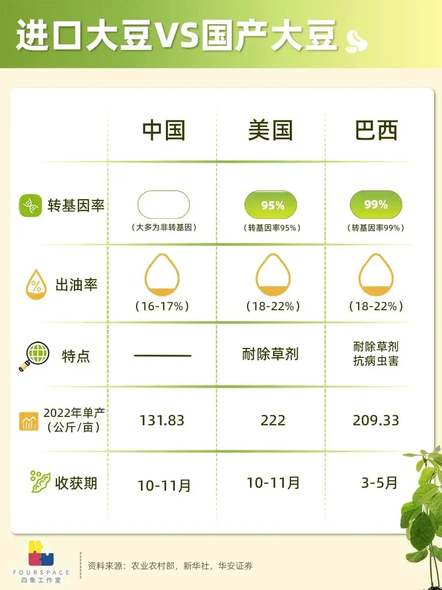 中国是大豆原产地 为何还要进口转基因豆?