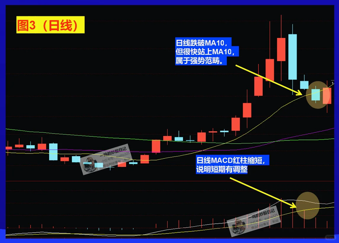 MACD周期循环，看完就会用了！