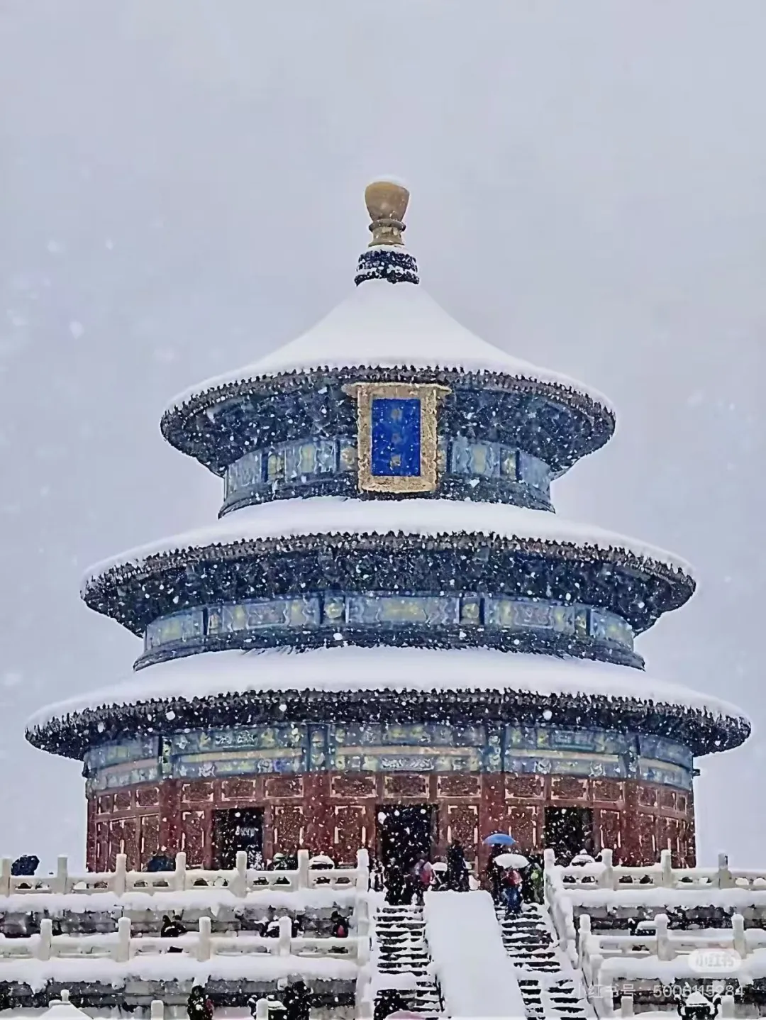 房子现在到底应不应该卖？应不应该买！