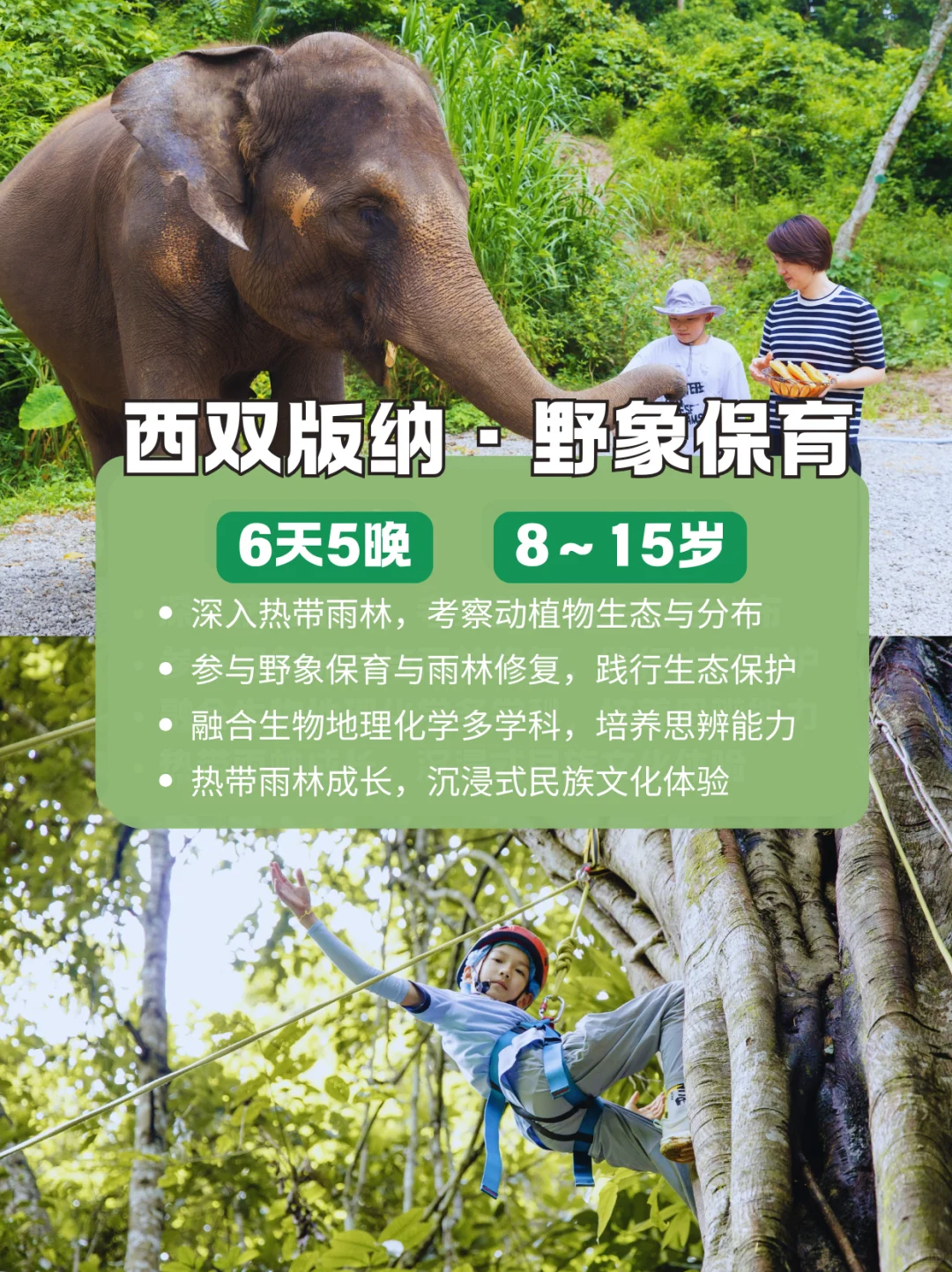 ?6-18岁研学清单｜9大目的地边学边成长