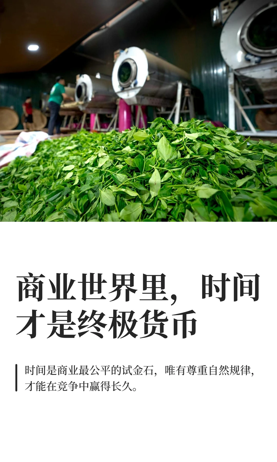 商业世界里，时间才是终极货币