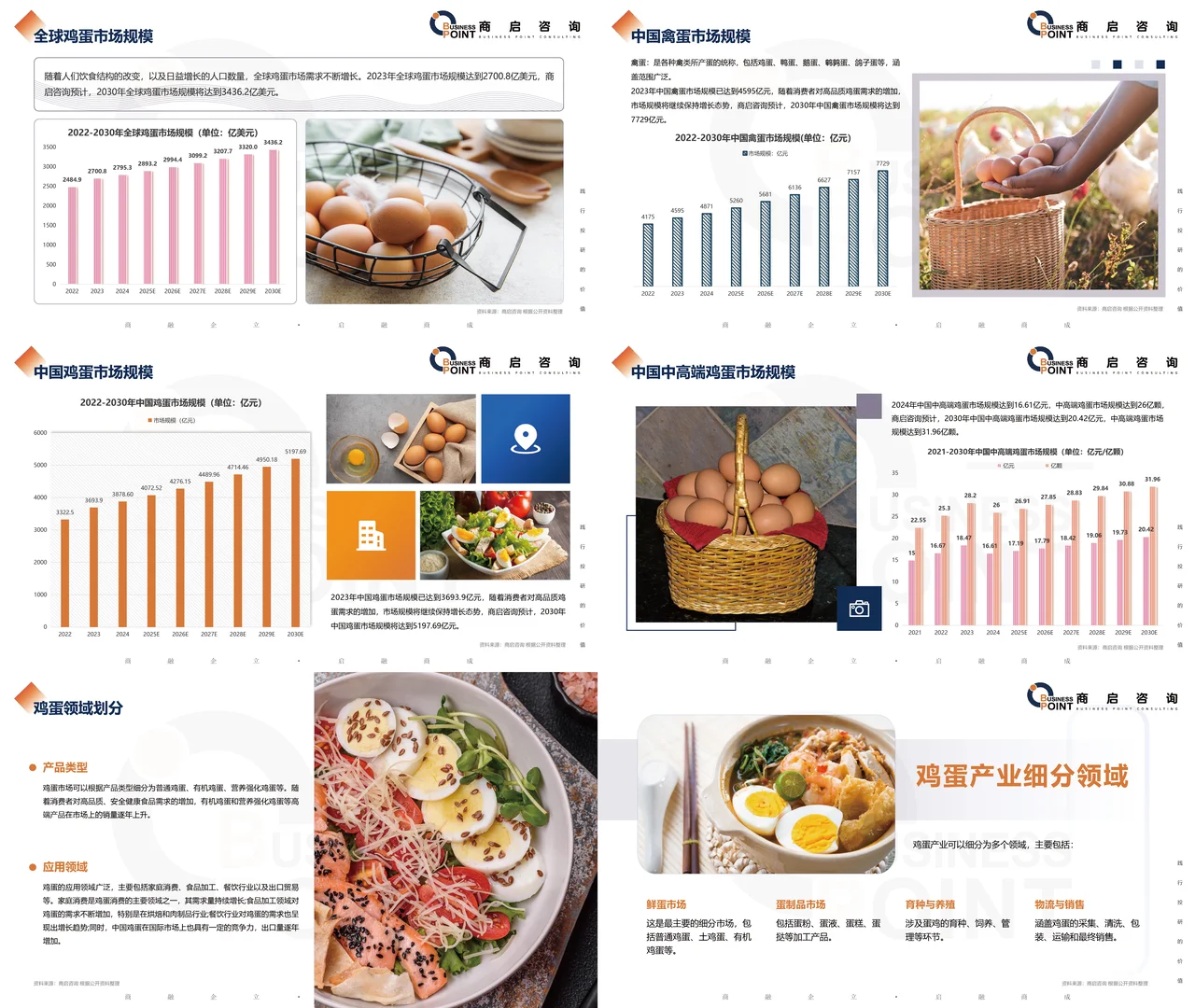 ? 商启咨询 鸡蛋行业研究报告