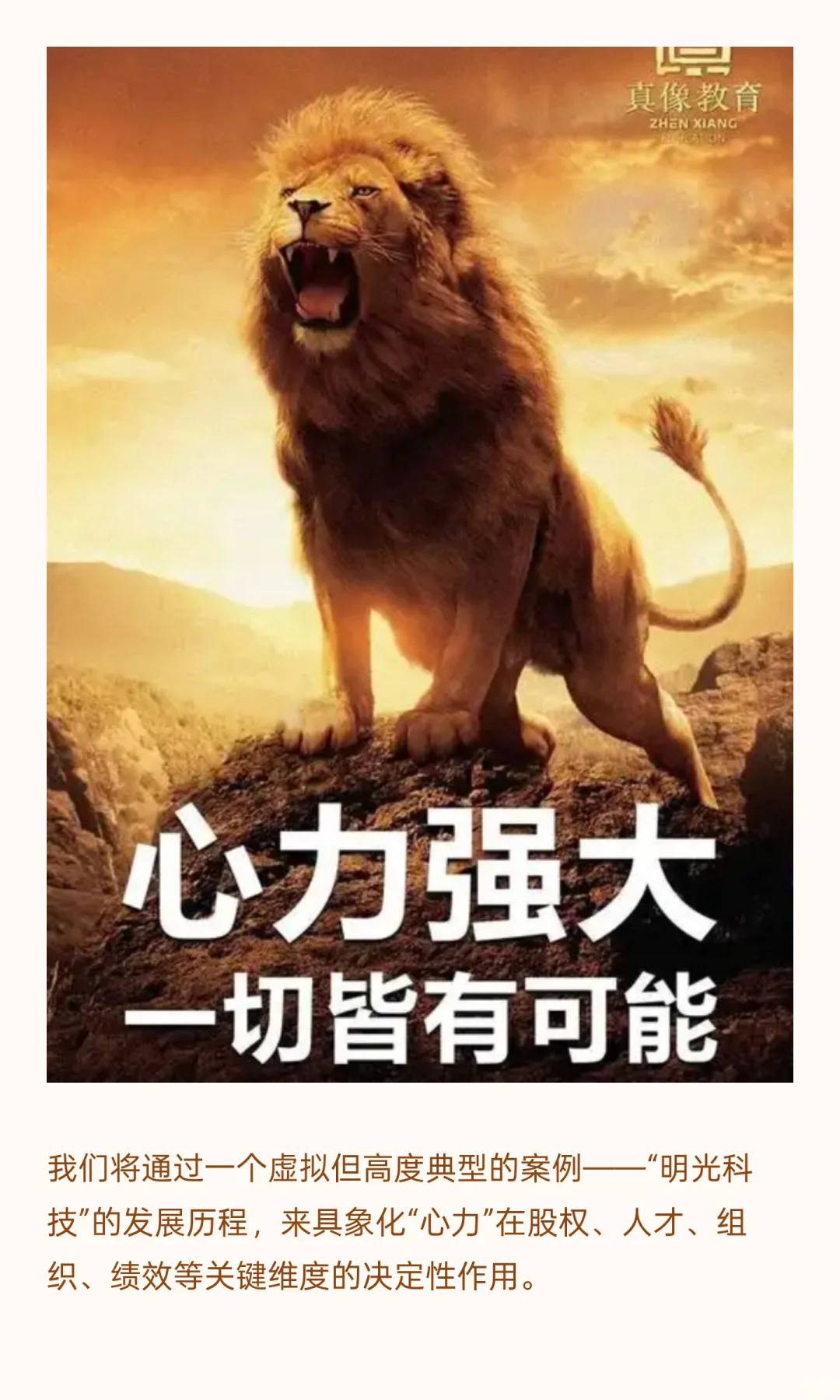 老板心力：驱动企业发展的隐秘力量