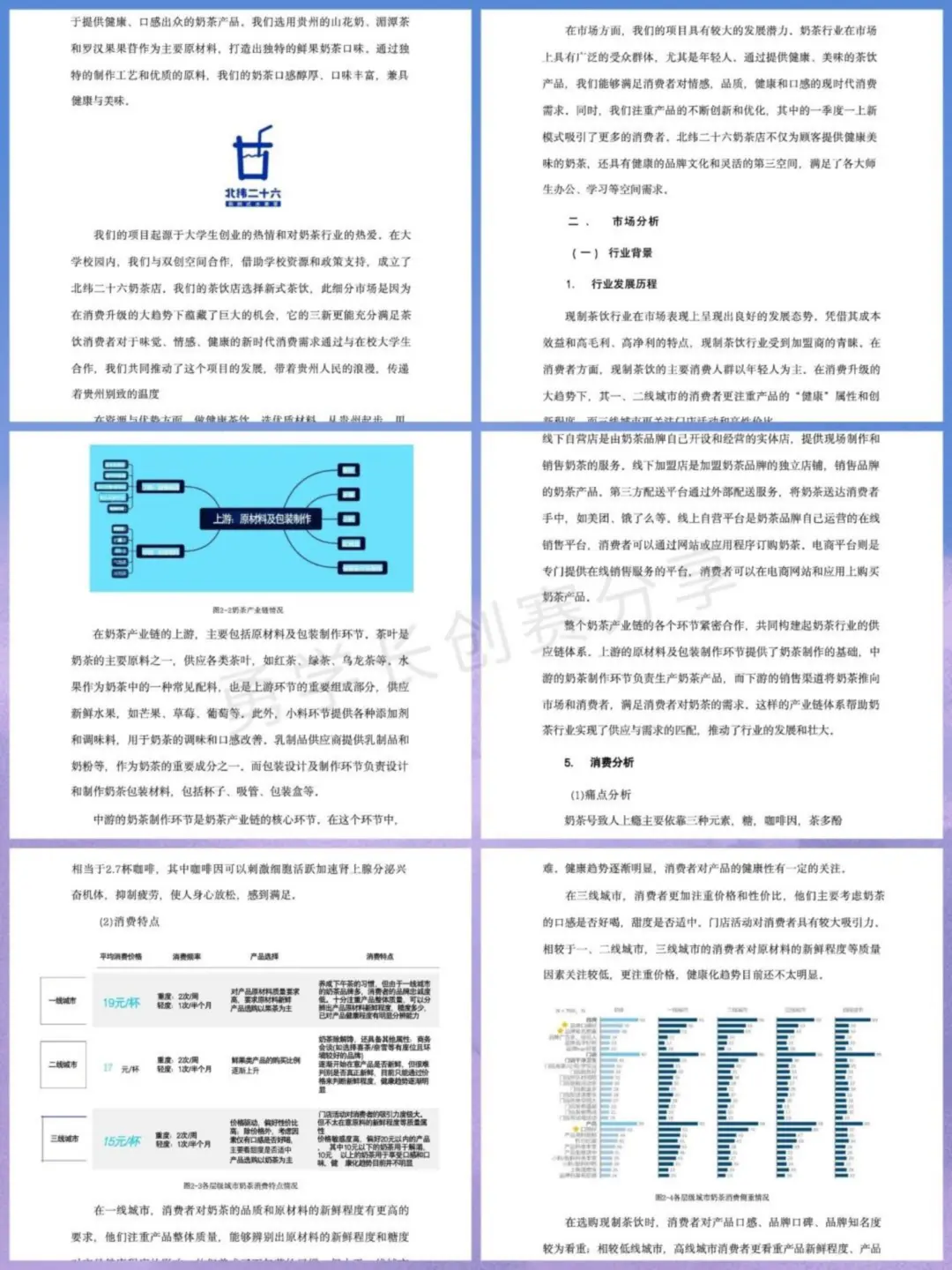 三创赛?新鲜式水果茶国奖案例?食品类