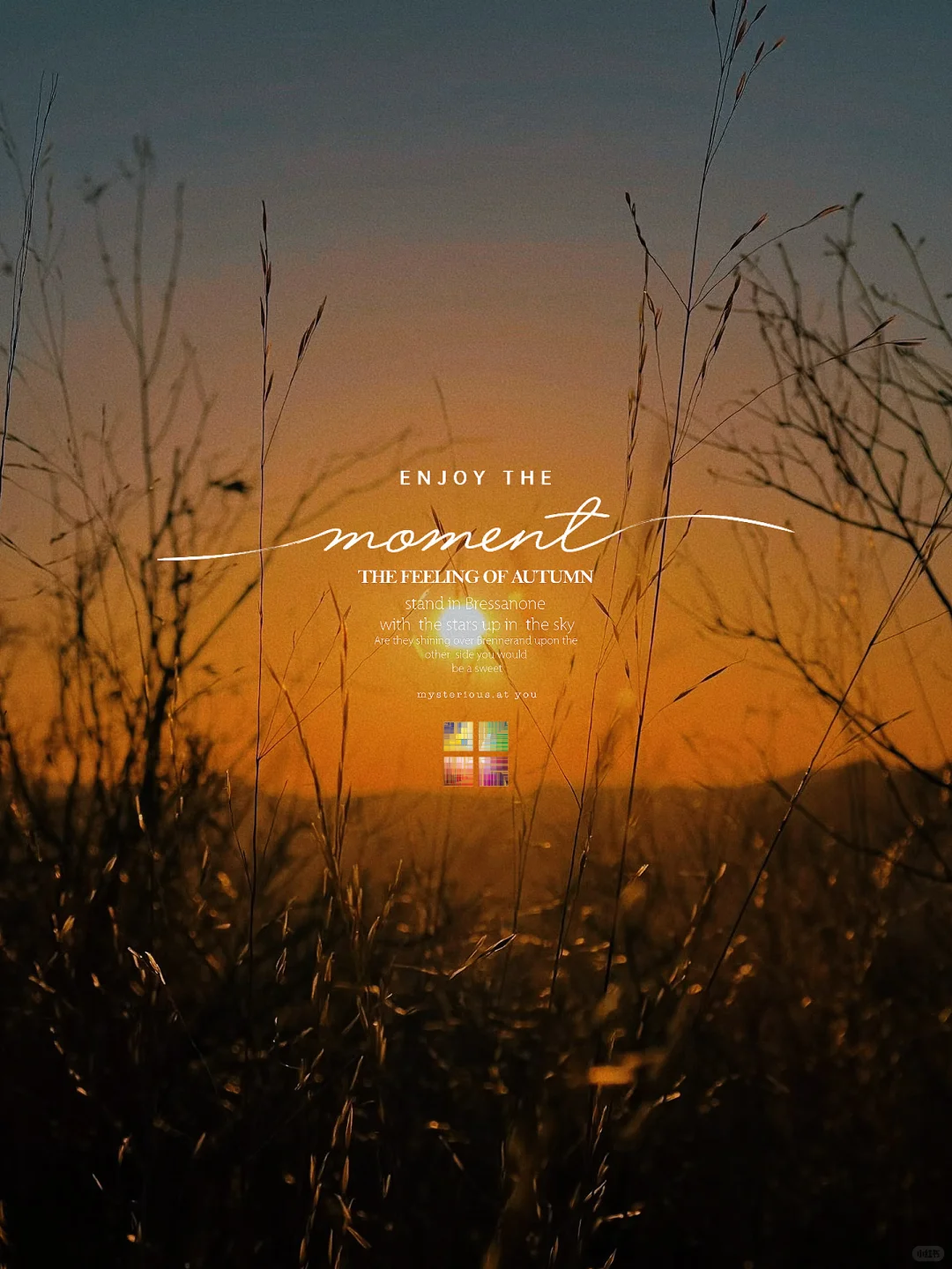 不是逃离,是觉醒,我决定用房租换一生✨