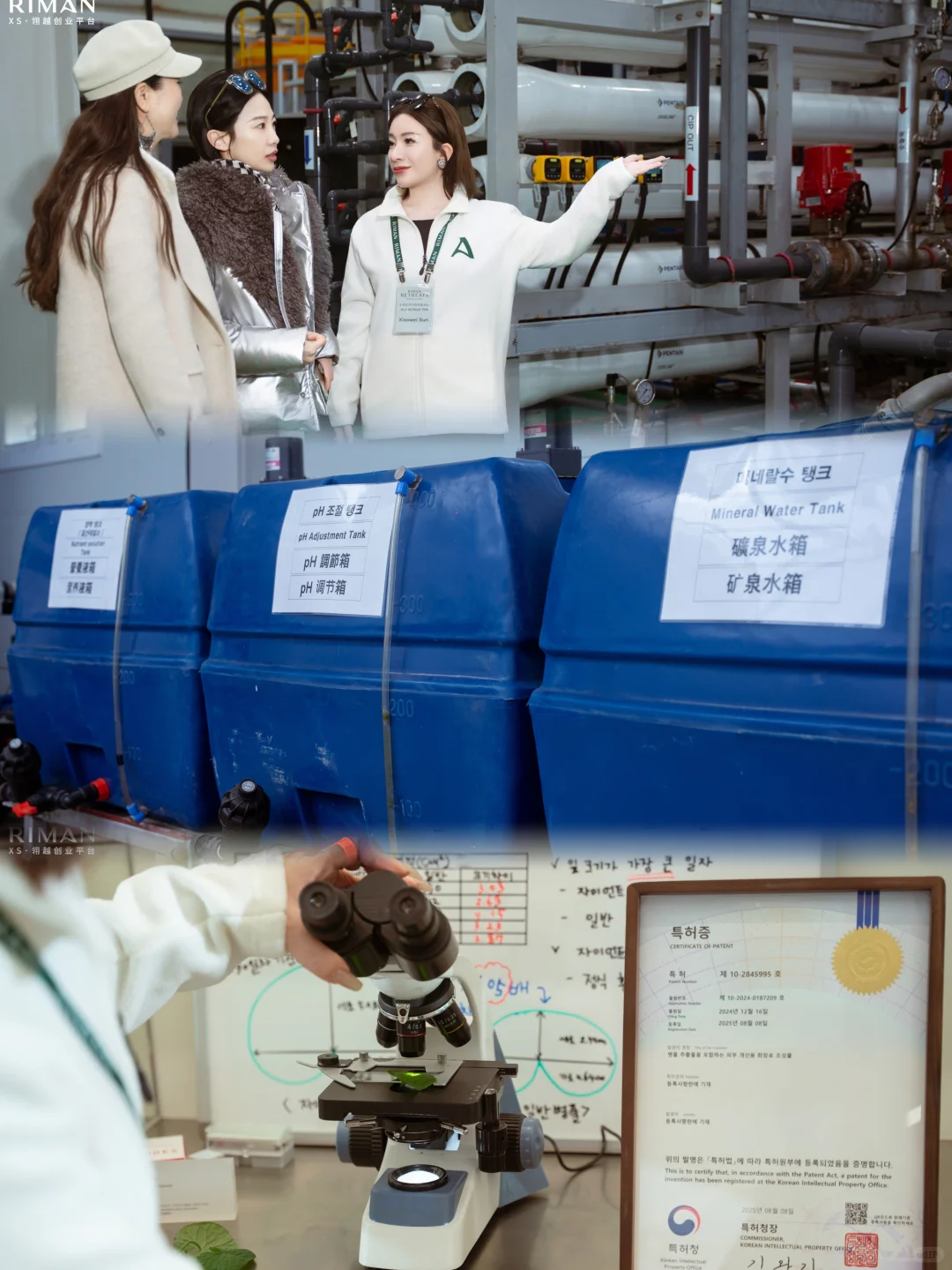 力曼济州岛巨型积雪草智慧农场溯源