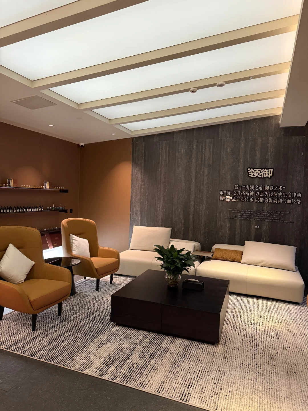 养生博主坦白局 好吃好玩 解锁正确姿势 ?