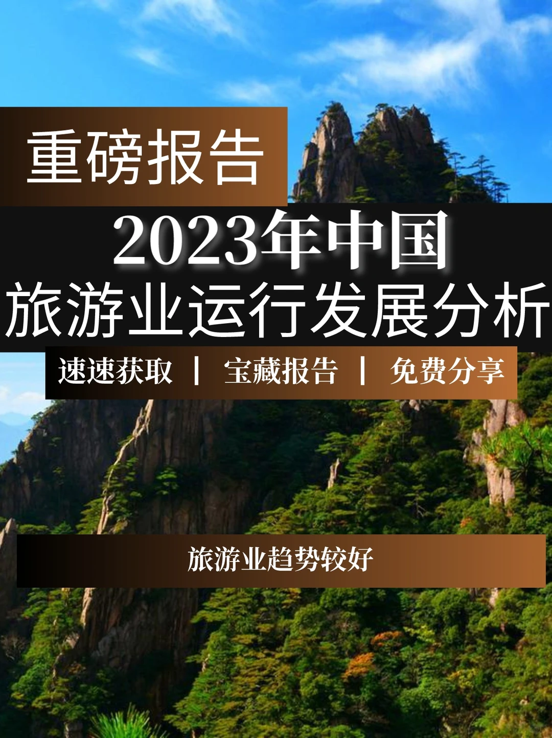重磅报告▏2023中国旅游业运行与发展分析