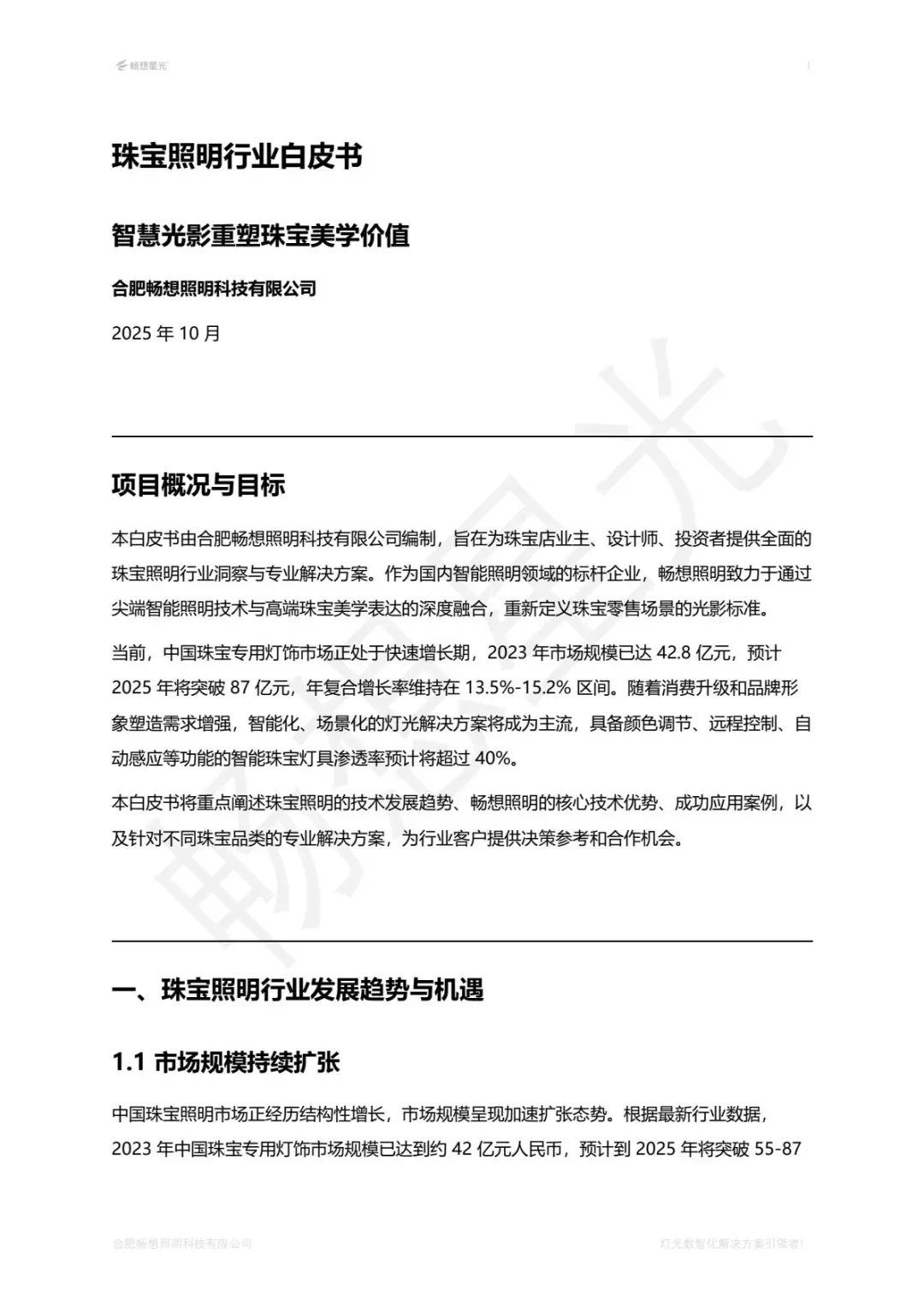 珠宝照明行业白皮书2025版
