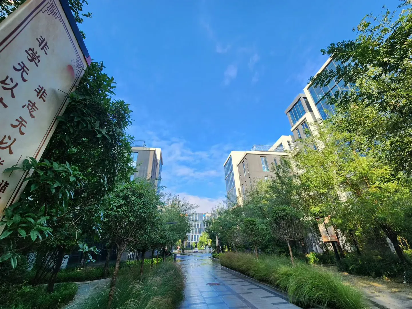 2026教培行业趋势