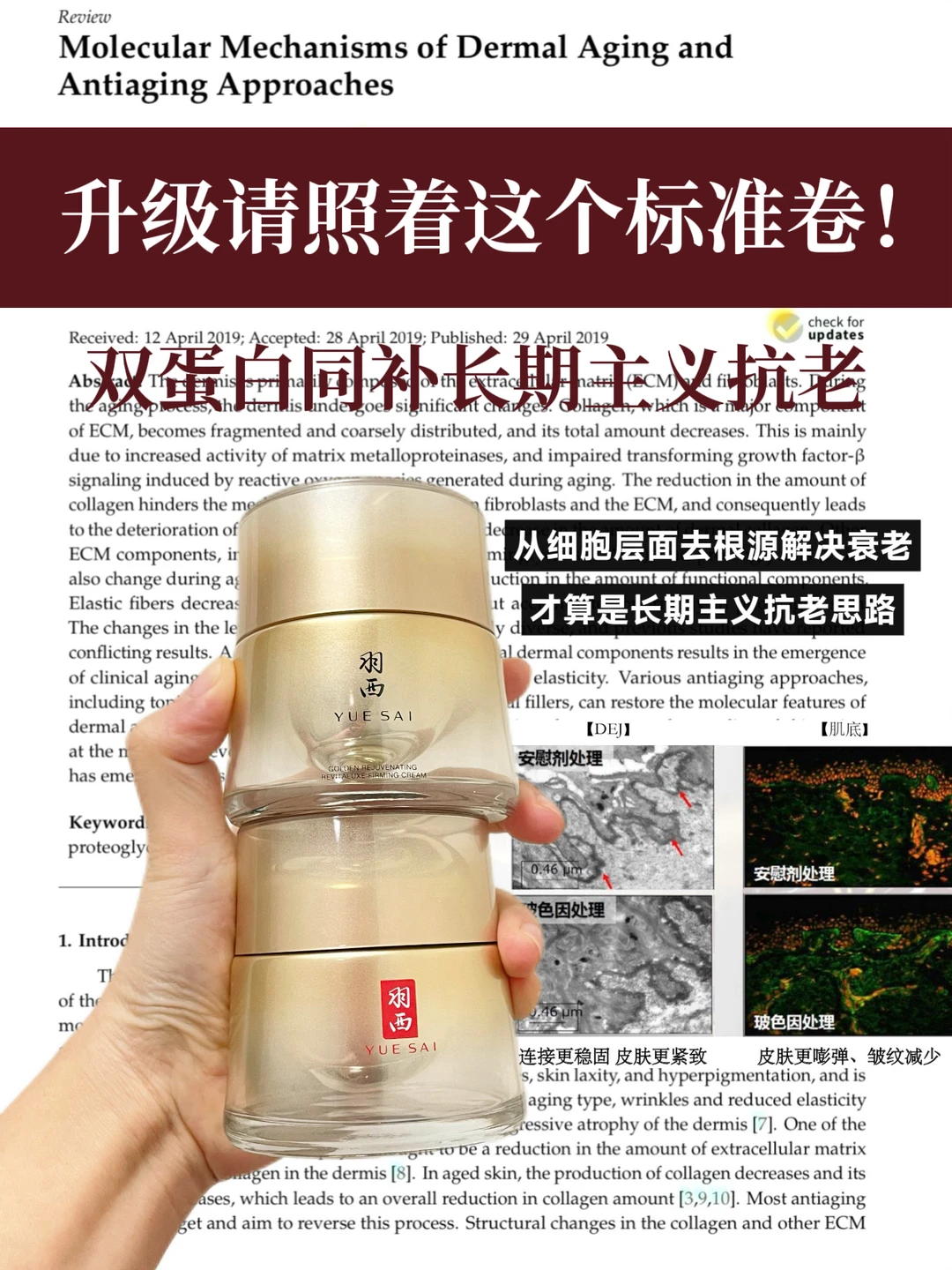 护肤圈升级都按这个标准给我卷！！！