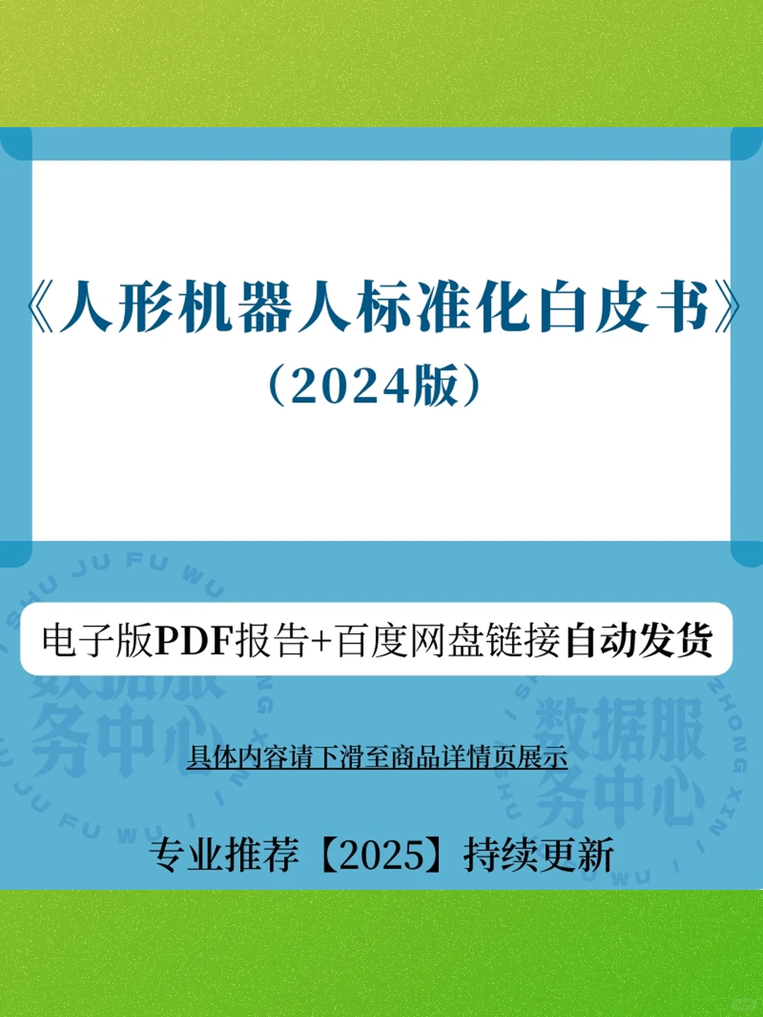 2024年人形机白皮书行业报告