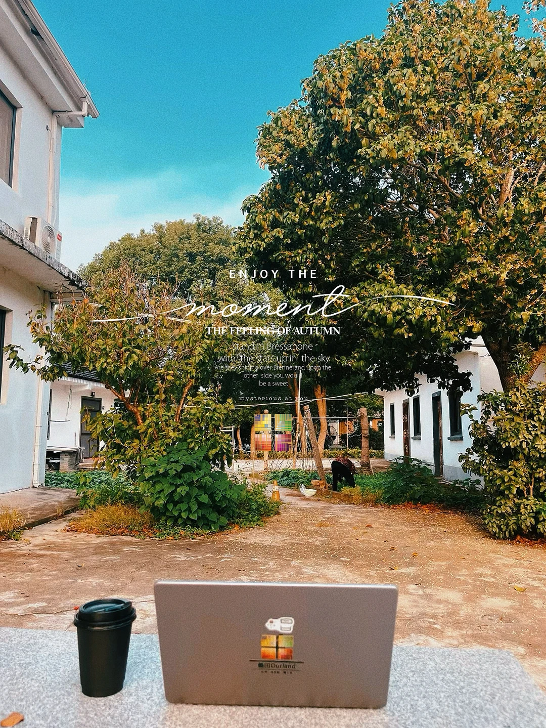 不是逃离,是觉醒,我决定用房租换一生✨