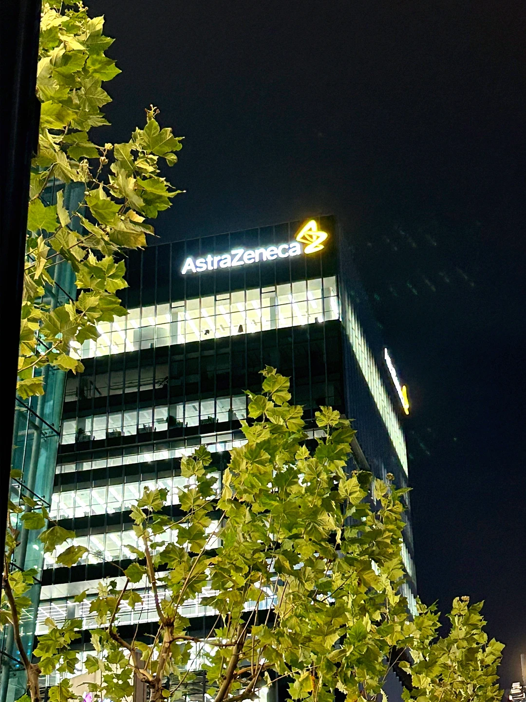 文科生最好的出路是去做外企To B销售管培生