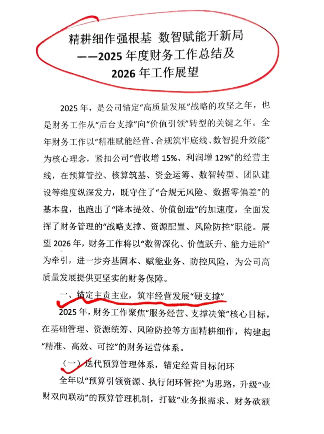 2025年度财务工作总结