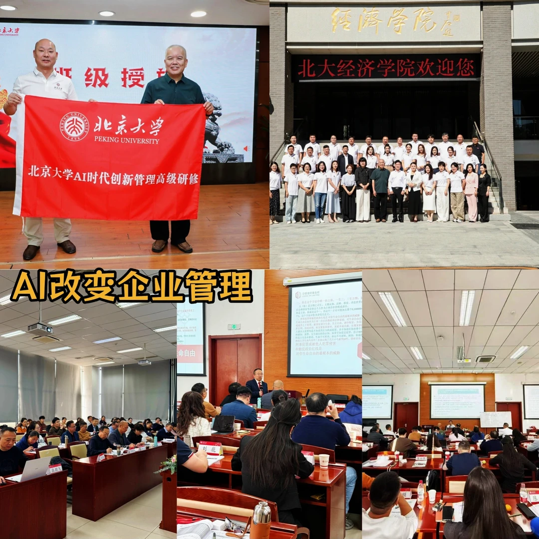 AI 时代，企业管理：北大AI改变企业管理