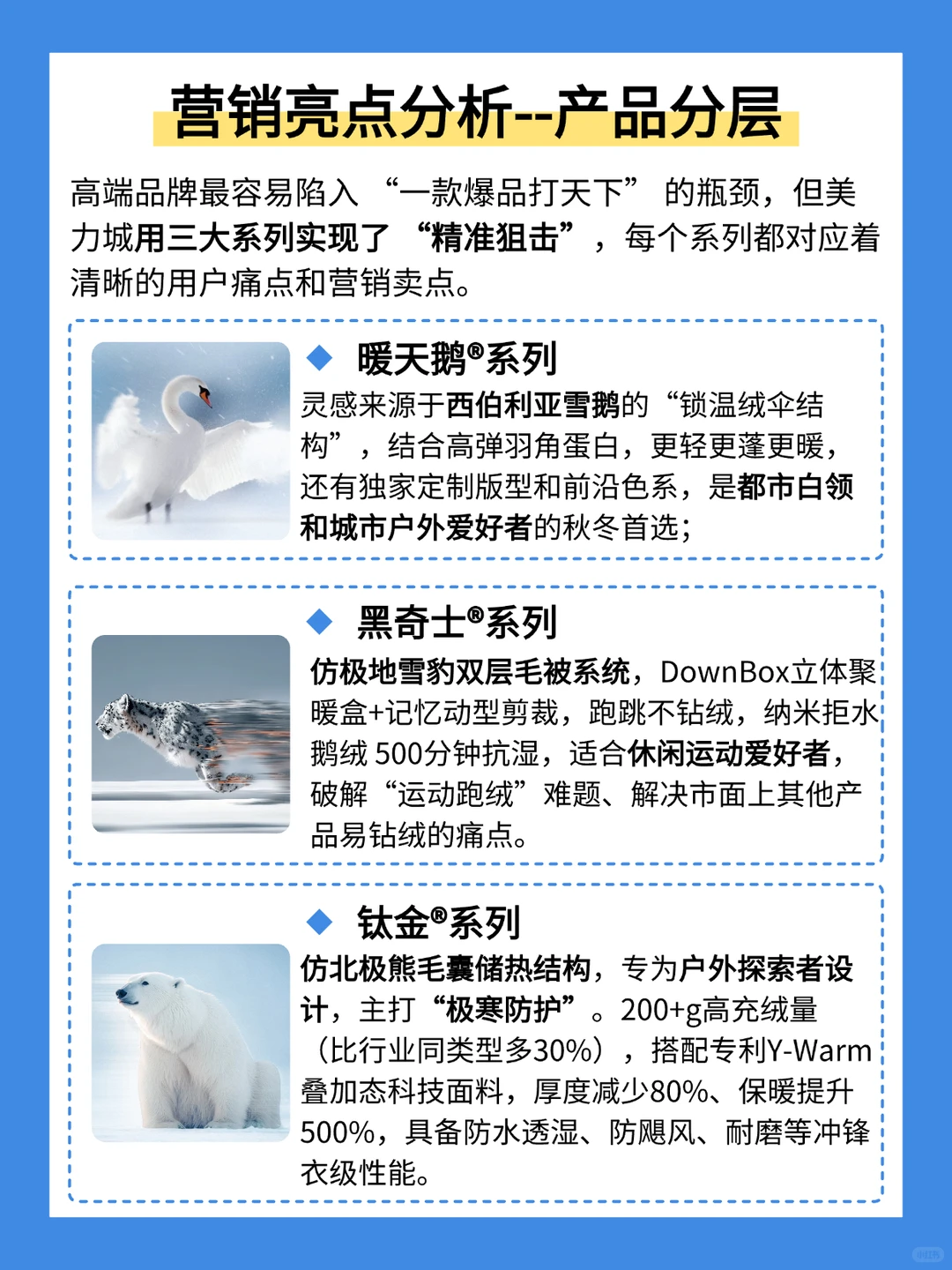 流量 + 专业，拆解美力城 2025 营销逻辑