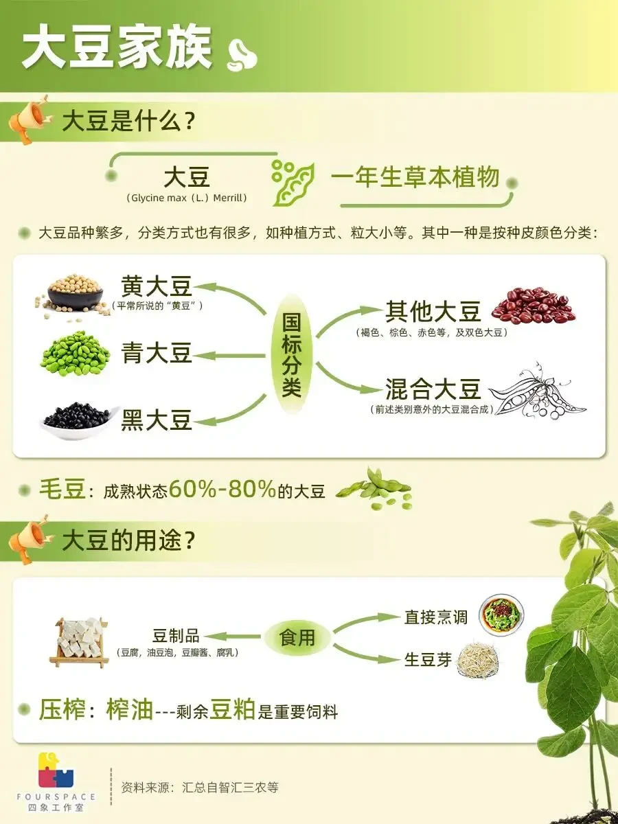 中国是大豆原产地 为何还要进口转基因豆?