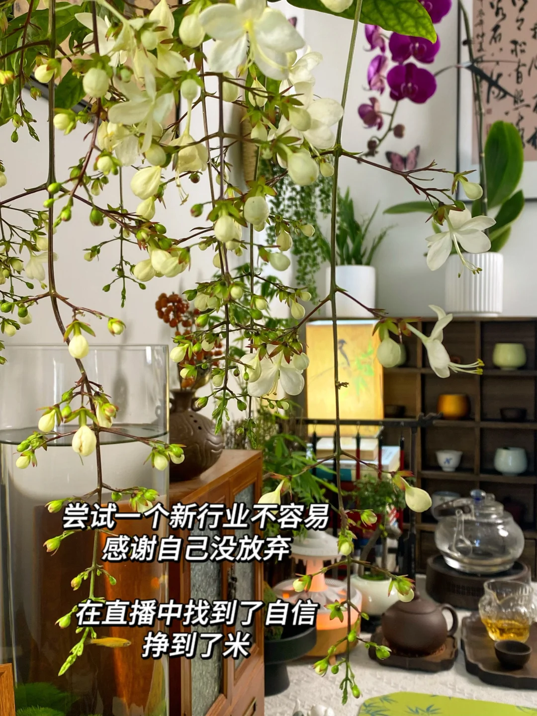 读书博主坦白局：宝妈直播15天，终于挣到钱了