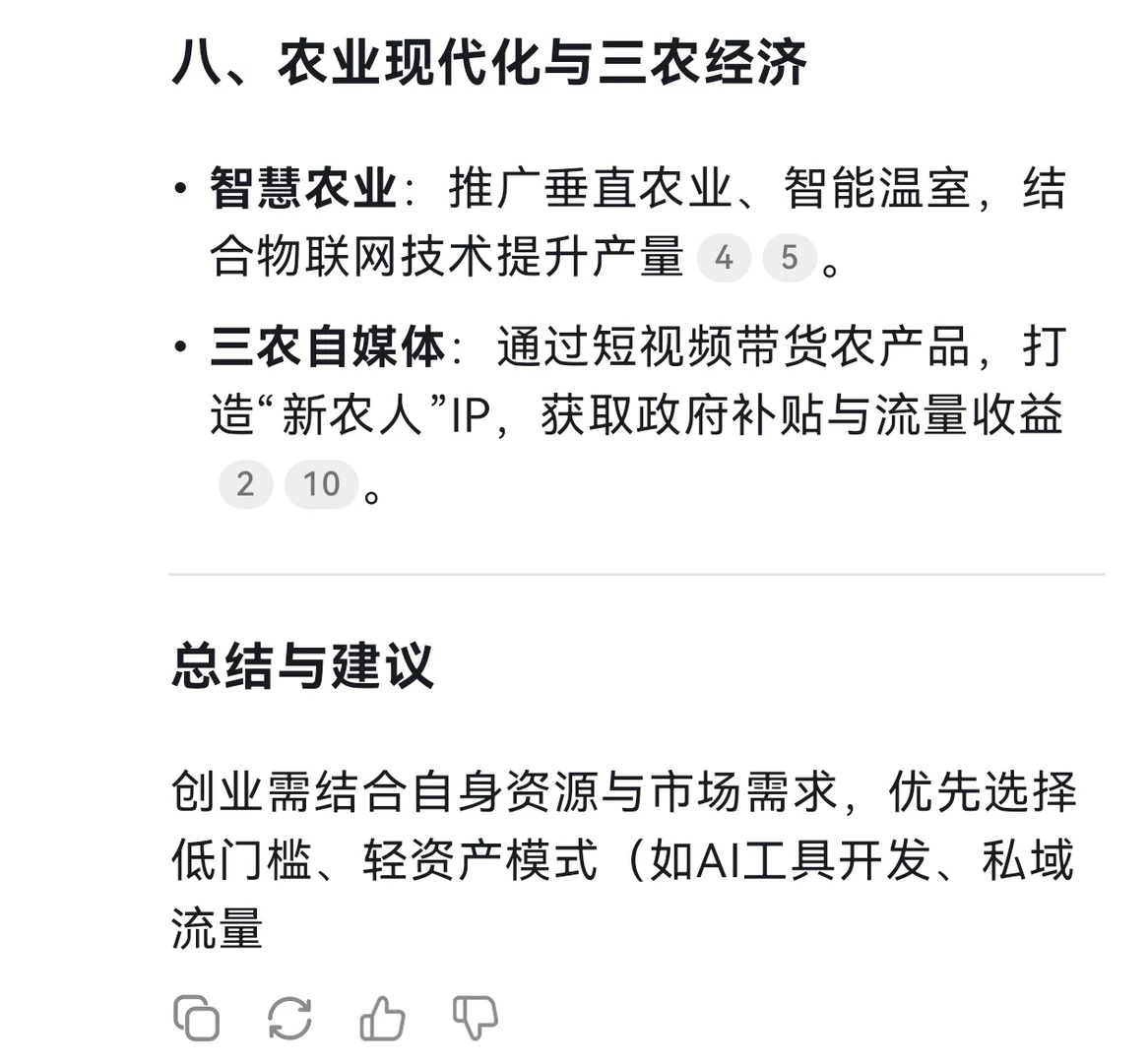 DeepSeek谈2025年的创业风口