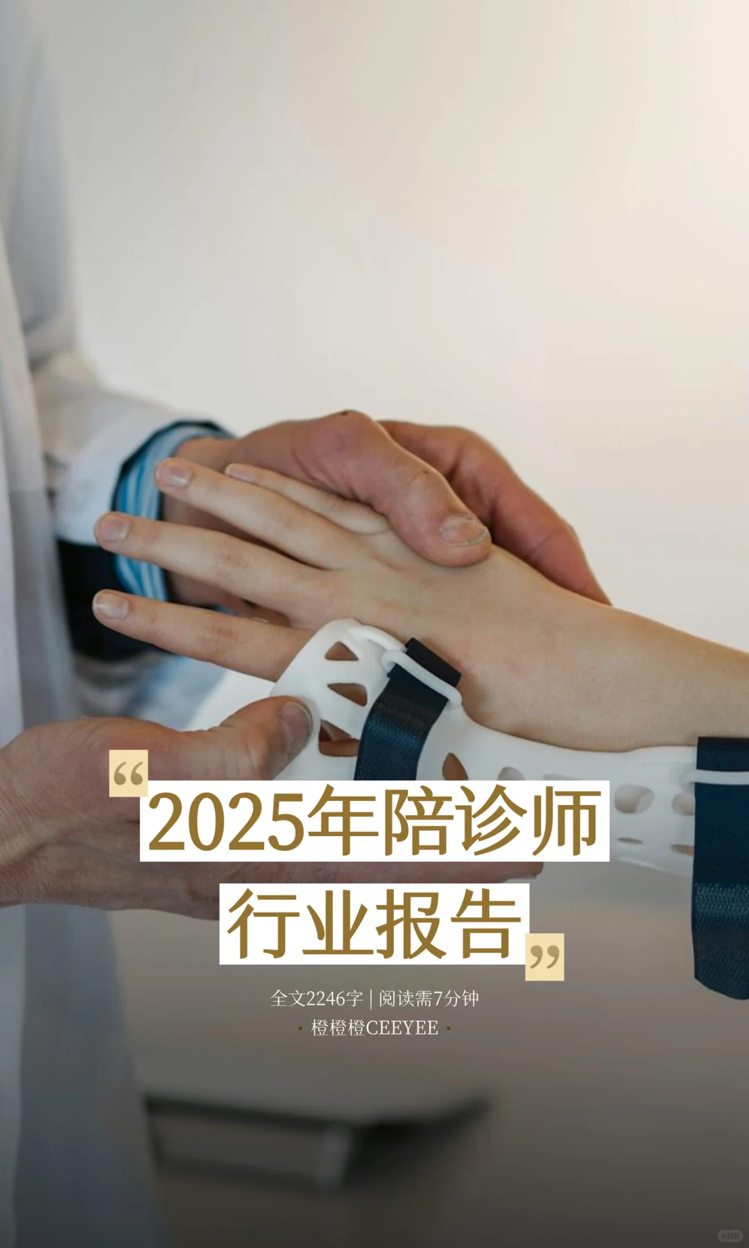 2025年陪诊师行业报告