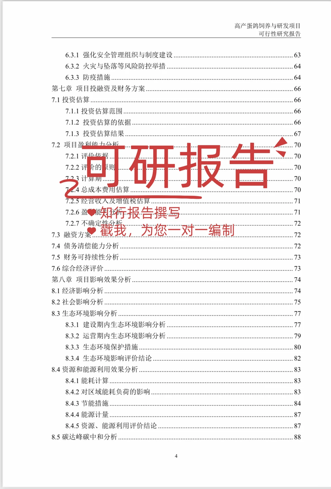 可行性研究报告编制案例｜乡村振兴项目