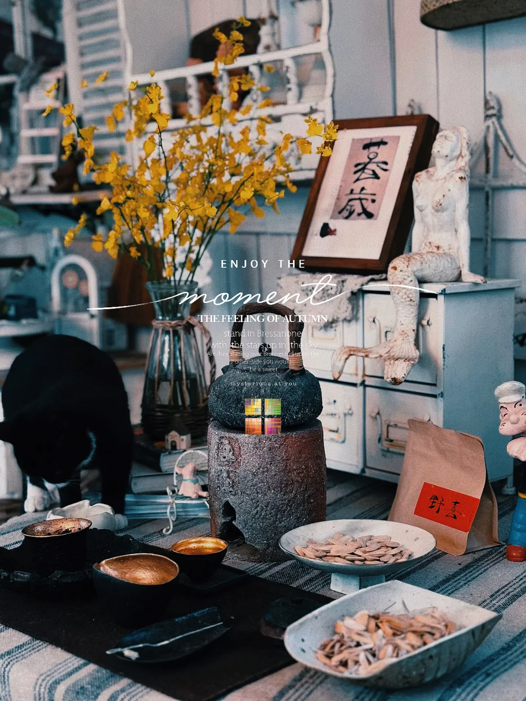 不是逃离,是觉醒,我决定用房租换一生✨