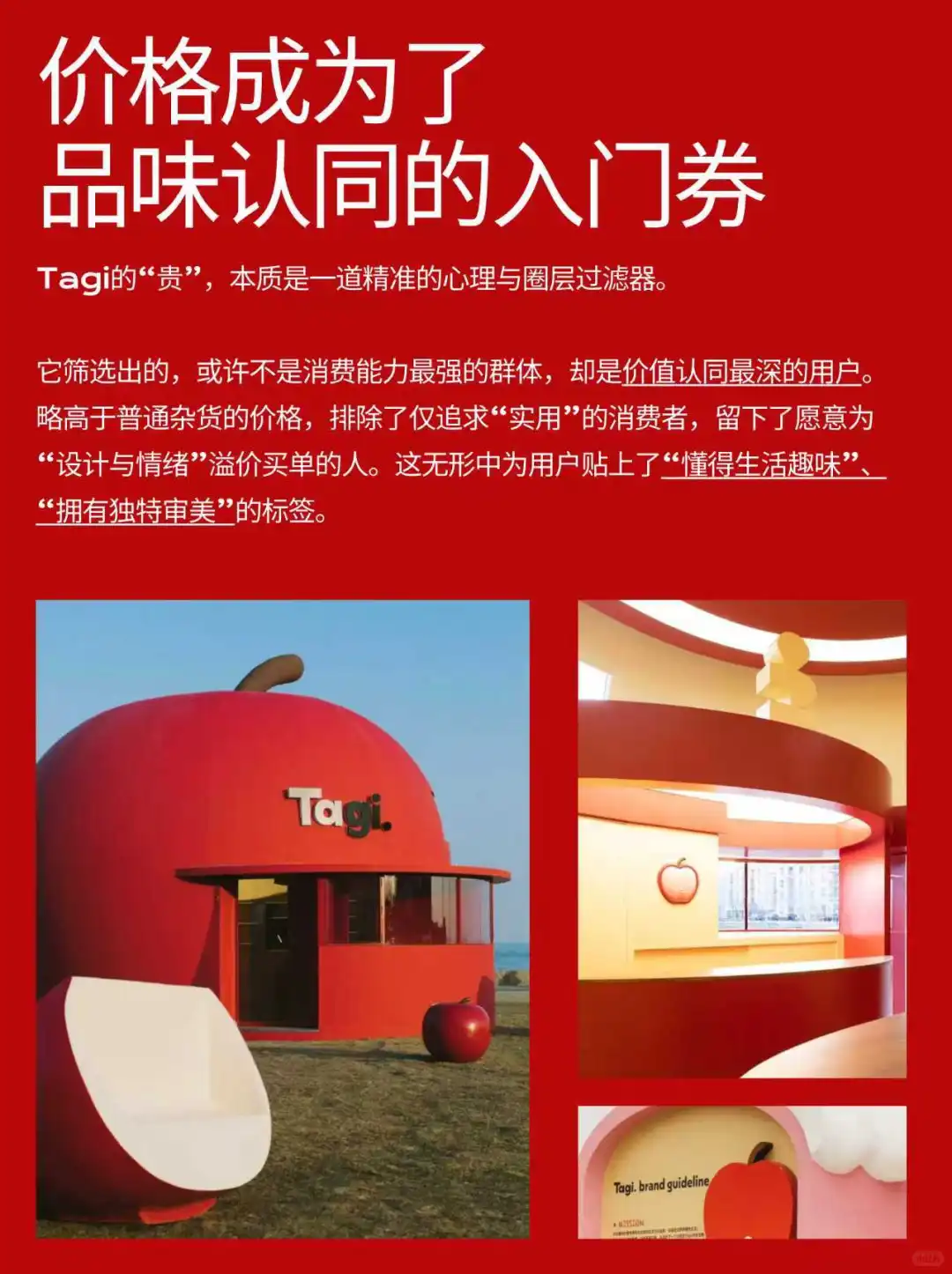 几百块买“美丽废物”？Tagi到底是谁在买❗