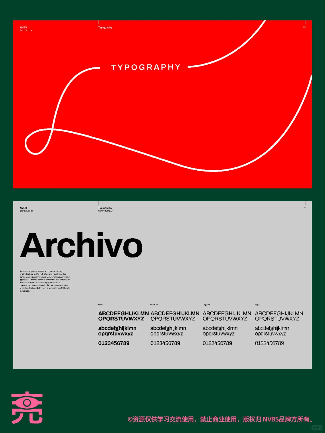 案例分享丨NVBS品牌VI手册【附PDF】