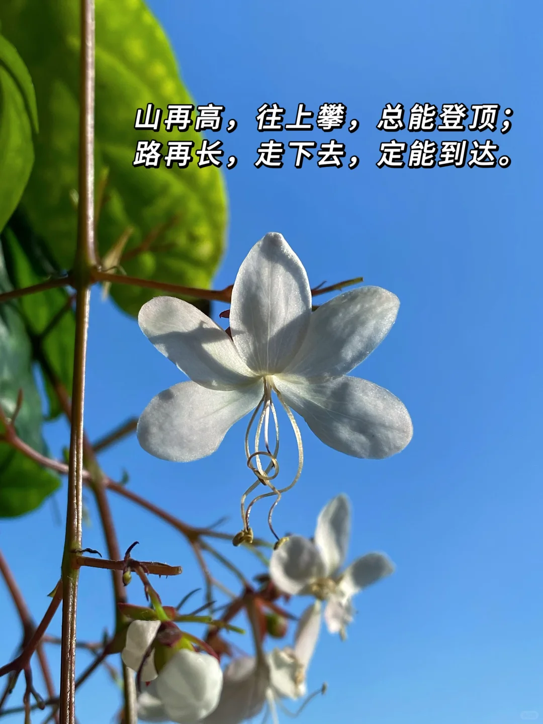 读书博主坦白局：宝妈直播15天，终于挣到钱了