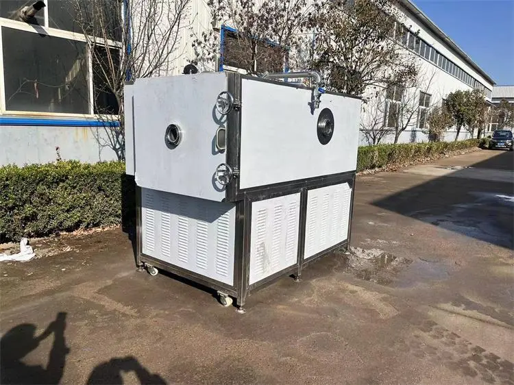 榴莲冻干机企业研究报告（2025）