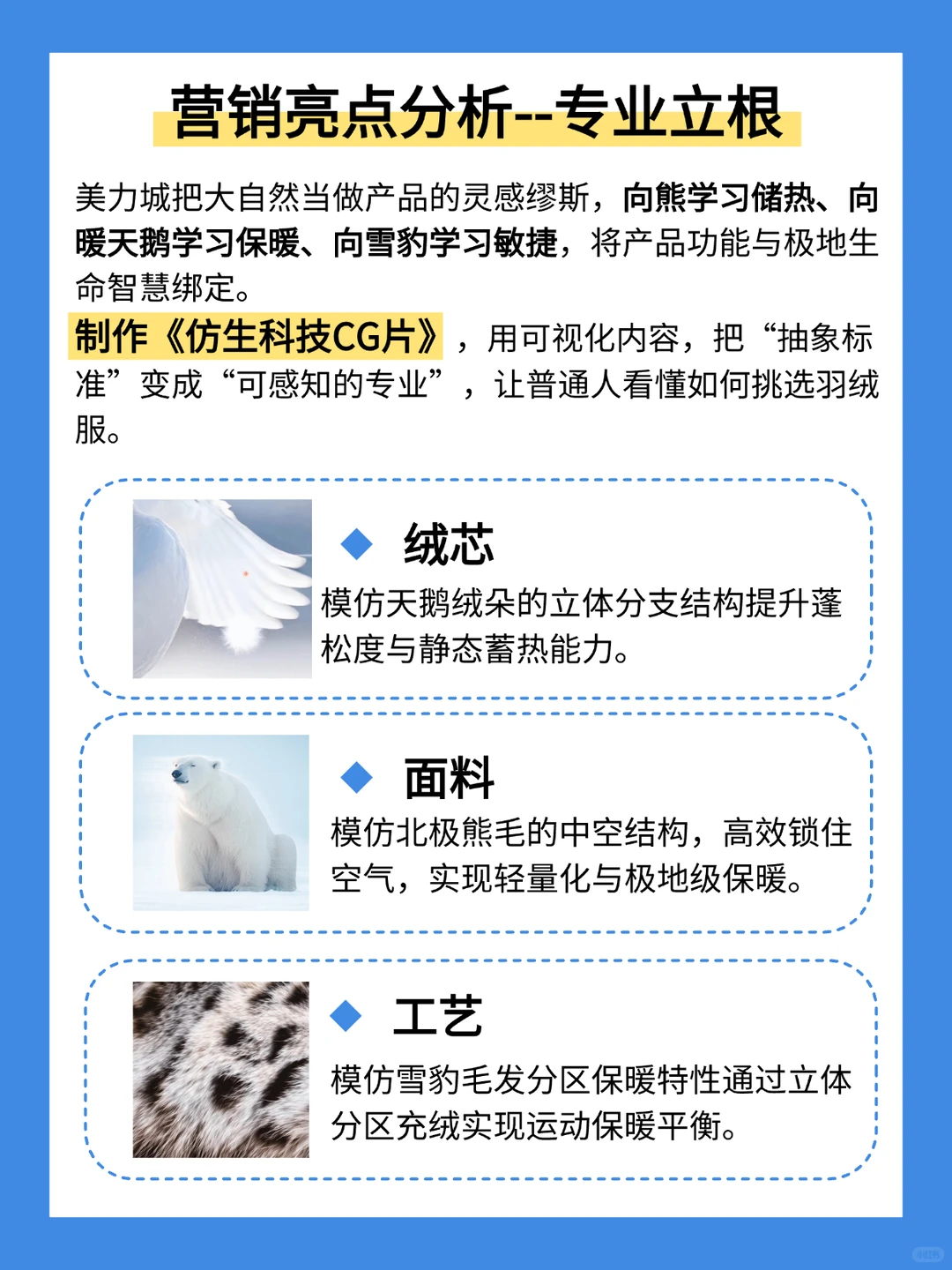 流量 + 专业，拆解美力城 2025 营销逻辑