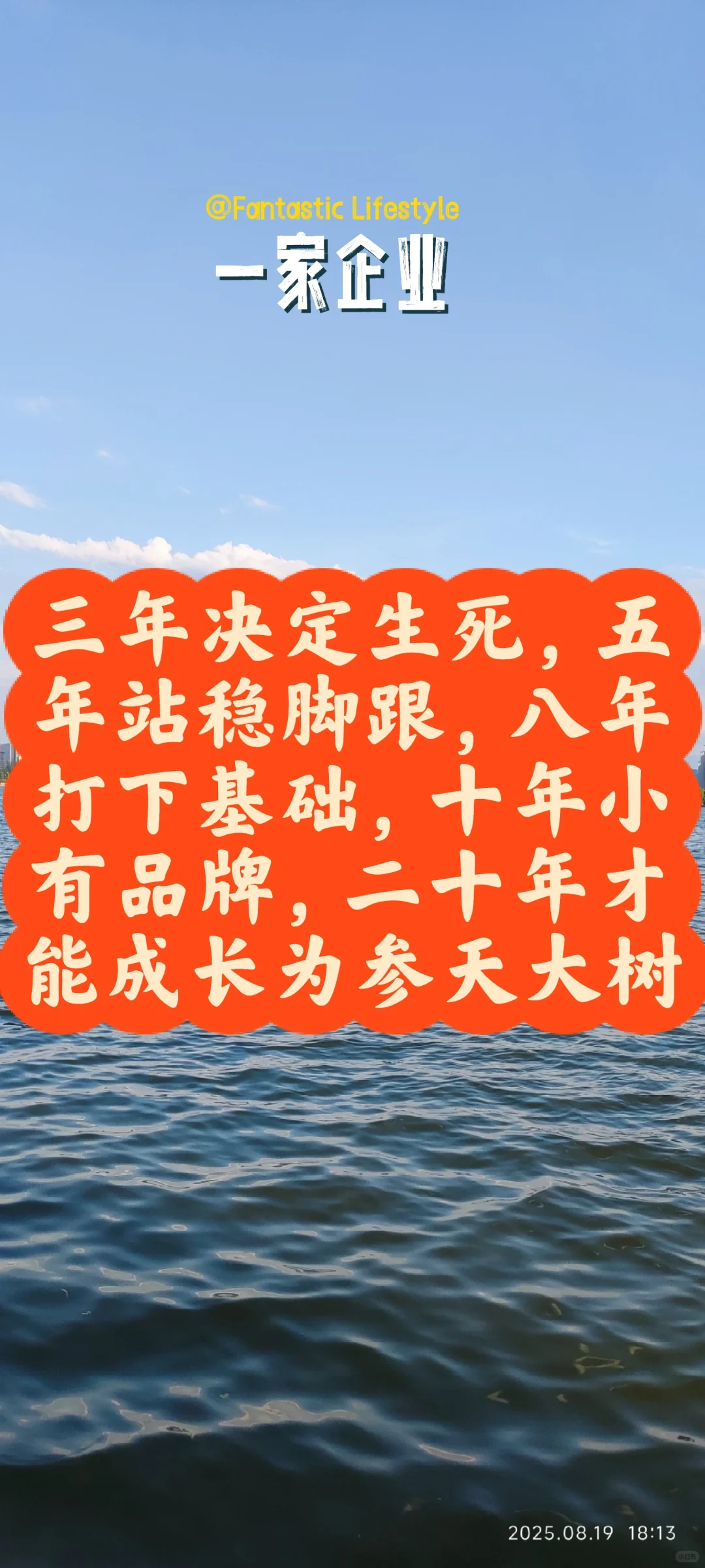 企业的发展路径