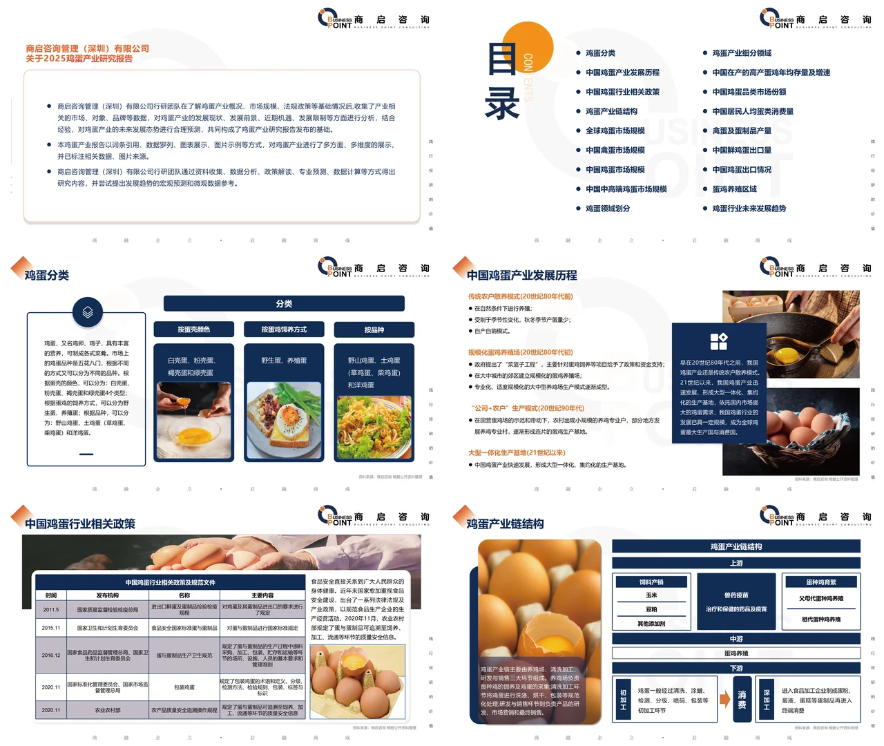 ? 商启咨询 鸡蛋行业研究报告
