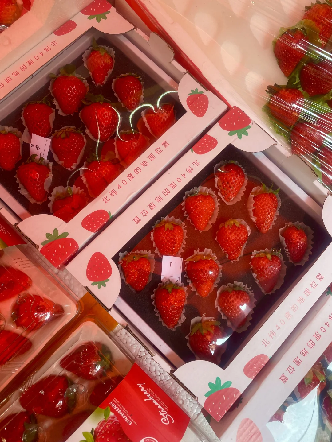 广州｜三东市场｜物价低